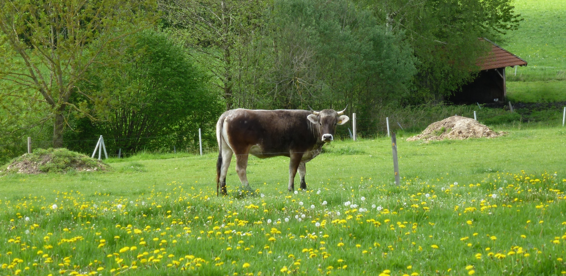 ab-zum-bauernhof