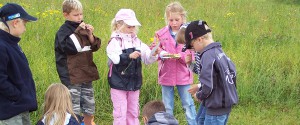 Kinder_Wiese