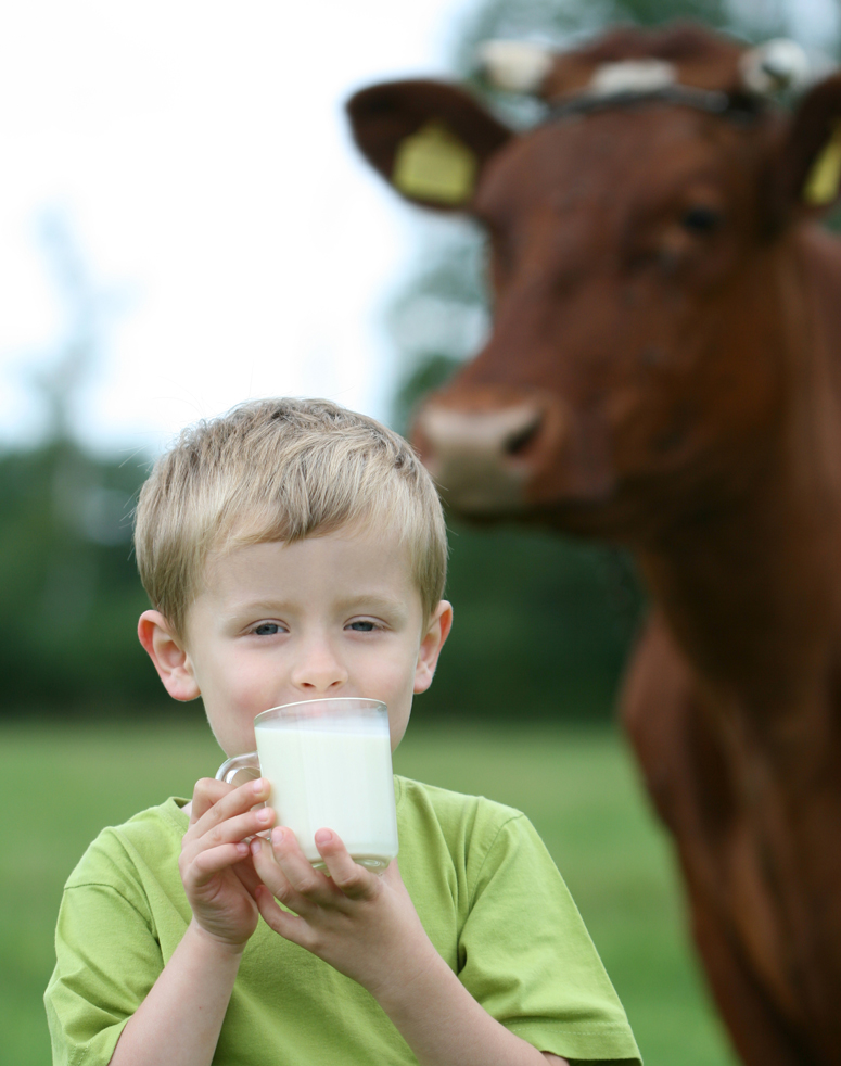 9 Fakten über Milch, die Du kennen solltest - ab-zum-bauernhof